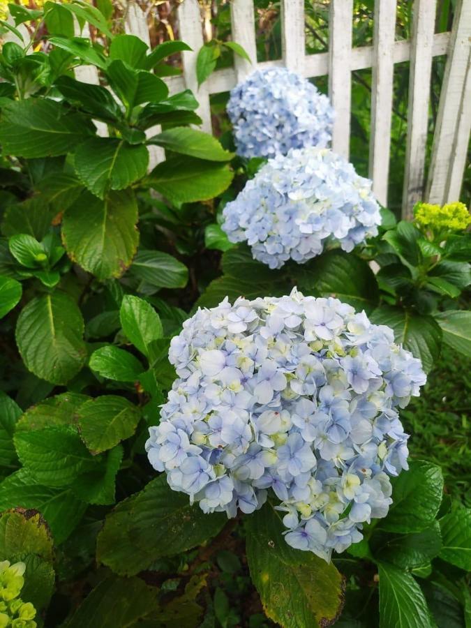 Recanto Das Flores São Tomé das Letras Esterno foto