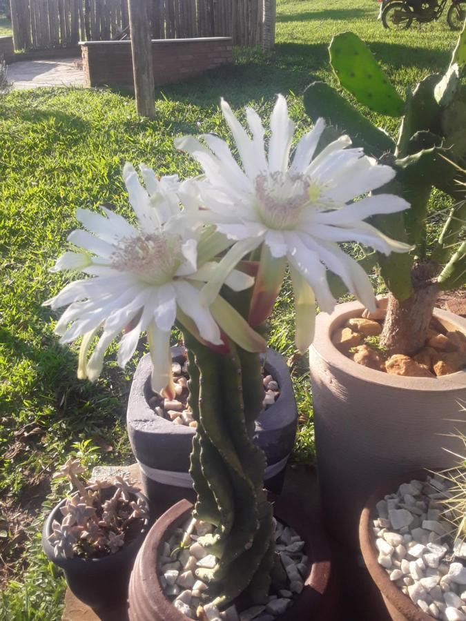 Recanto Das Flores São Tomé das Letras Esterno foto